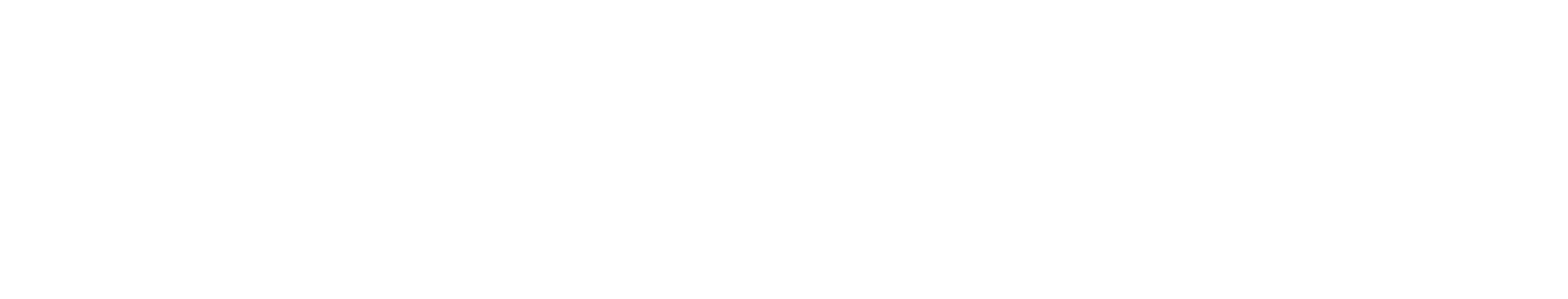 Silver Mountain Insurance Solutions